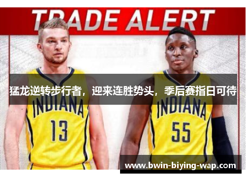 猛龙逆转步行者，迎来连胜势头，季后赛指日可待